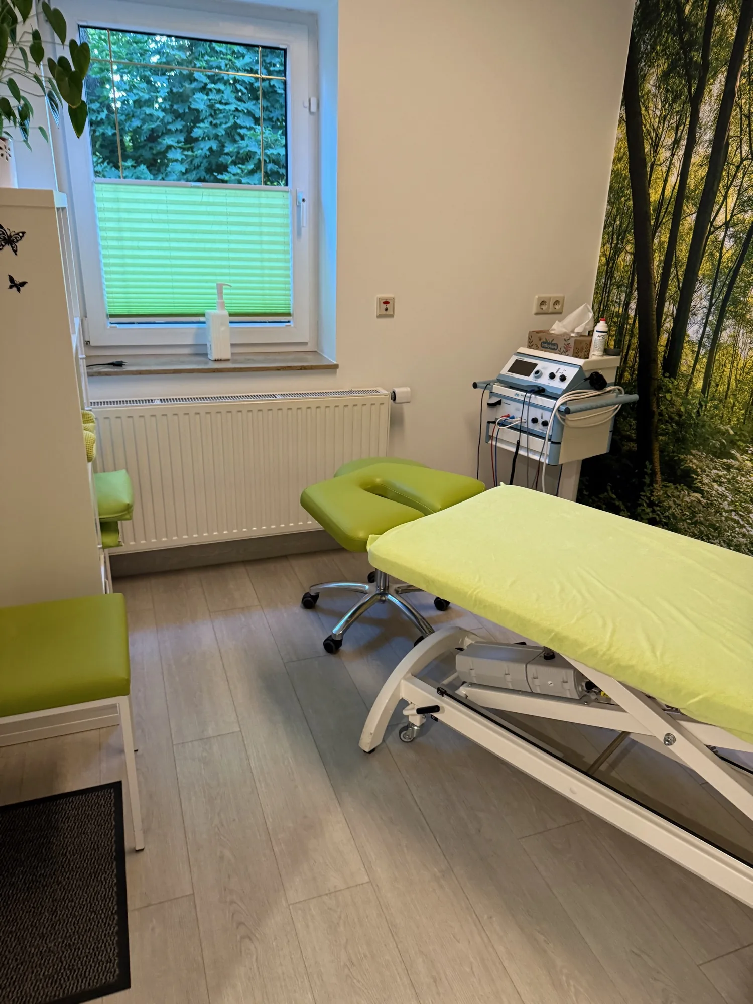 Behandlungsraum mit höhenverstellbarer Liege, Elektrotherapiegerät und Waldmotiv-Wand